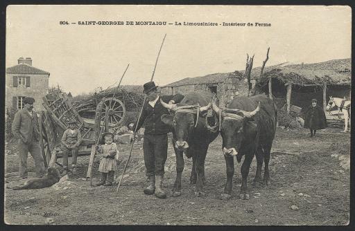 Saint-Georges-de-Montaigu. - La ferme de la Limousinière et ses habitants : charrettes et attelage de boeufs dans la cour (vue 1), femme remplissant un seau d'eau (vue 2).